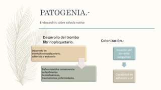 PATOGENIA.-
Desarrollo del trombo
fibrinoplaquetario.
Desarrollo de
trombofibrinopalquetario,
adherido al endotelio
Daño endotelial consecuencia
de fenómenos
hemodinámicos,
traumatismos, enfermedades.
Colonización.-
Invasión del
torrente
sanguíneo
Capacidad de
adhesión a el
Endocarditis sobre válvula nativa
 