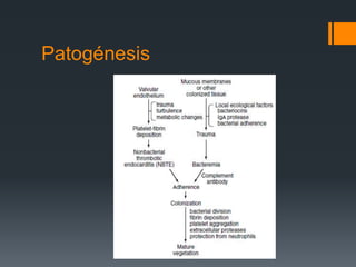 Patogénesis
 