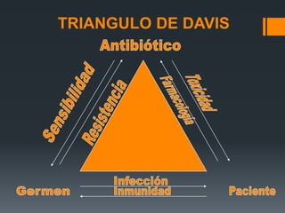 TRIANGULO DE DAVIS
 