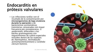 Endocarditis en
prótesis valvulares
• Las infecciones tardías son el
resultado de la contaminación por
microorganismos de baja virulencia
durante la operación o de
bacteriemias asintomáticas
transitorias, provocadas con mayor
frecuencia por estreptococos, S.
epidermidis, difteroides y los
bacilos gramnegativos con
requerimientos de cultivo especiales
incluidos dentro de las especies
de Haemophilus, Actinobacillu
actinomycetemcomitans y Cardioba
cterium hominis.
Dra. Katherine Rivera R2C
 