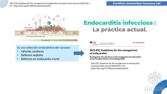 Endocarditis infecciosa: 2023 ESC Guidelines for the management of ...
