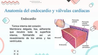 ENDOCARDITIS_INFECCIOSA_(Cardio)[1].pptx