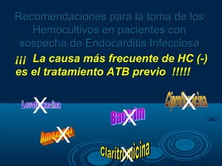 Recomendaciones para la toma de los
    Hemocultivos en pacientes con
 sospecha de Endocarditis Infecciosa
¡¡¡ La causa más frecuente de HC (-)
es el tratamiento ATB previo !!!!!


   X                           X
                    X
       X
                   X
 