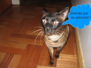 Gracias por
su atención!
 