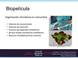 Etiología
Staphylococcus aureus
• Principal causa
• Colonizante transitorio
• Válvula nativa y protésica, sana o dañada
• ...