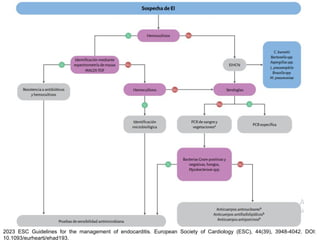 2023 ESC Guidelines for the management of endocarditis. European Society of Cardiology (ESC), 44(39), 3948-4042. DOI:
10.1093/eurheartj/ehad193.
 