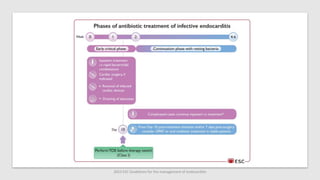2023 ESC Guidelines for the management of endocarditis
 