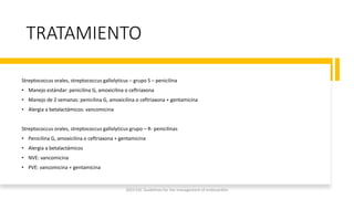 TRATAMIENTO
Streptococcus orales, streptococcus gallolyticus – grupo S – penicilina
• Manejo estándar: penicilina G, amoxicilina o ceftriaxona
• Manejo de 2 semanas: penicilina G, amoxicilina o ceftriaxona + gentamicina
• Alergia a betalactámicos: vancomicina
Streptococcus orales, streptococcus gallolyticus grupo – R- penicilinas
• Penicilina G, amoxicilina o ceftriaxona + gentamicina
• Alergia a betalactámicos
• NVE: vancomicina
• PVE: vancomicina + gentamicina
2023 ESC Guidelines for the management of endocarditis
 