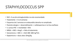 STAPHYLOCOCCUS SPP
• NVE –Z uso de aminoglucósidos no esta recomendado
• Tratamiento -> 4 a 6 semanas
• Esquemas de 2 semanas en endocarditis derecha no complicada
• Paciente alergico -> desensibilización -> cefalosporinas si no fue anafilaxia
• S. aureus PVE -> mortalidad > 45%
• MRSA -> MIC > 4mg/L -> falla al tratamiento
• Vancomicina -> MIC 1 -> AUC 400 -600 mg*h/L
• Daptomicina -> dosis altas 10mg/kg
2023 ESC Guidelines for the management of endocarditis
 