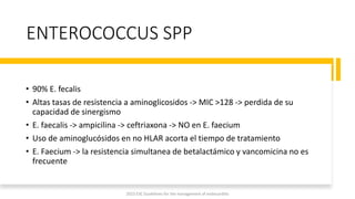 ENTEROCOCCUS SPP
• 90% E. fecalis
• Altas tasas de resistencia a aminoglicosidos -> MIC >128 -> perdida de su
capacidad de sinergismo
• E. faecalis -> ampicilina -> ceftriaxona -> NO en E. faecium
• Uso de aminoglucósidos en no HLAR acorta el tiempo de tratamiento
• E. Faecium -> la resistencia simultanea de betalactámico y vancomicina no es
frecuente
2023 ESC Guidelines for the management of endocarditis
 