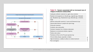 2023 ESC Guidelines for the management of endocarditis
 