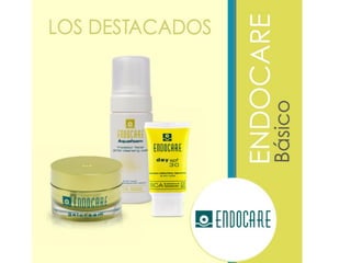 Endocare básico IFC Spain