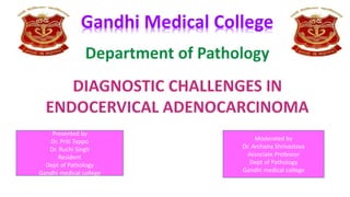 Presented by
Dr. Priti Toppo
Dr. Ruchi Singh
Resident
Dept of Pathology
Gandhi medical college
Moderated by
Dr. Archana Shrivastava
Associate Professor
Dept of Pathology
Gandhi medical college
Gandhi Medical College
 