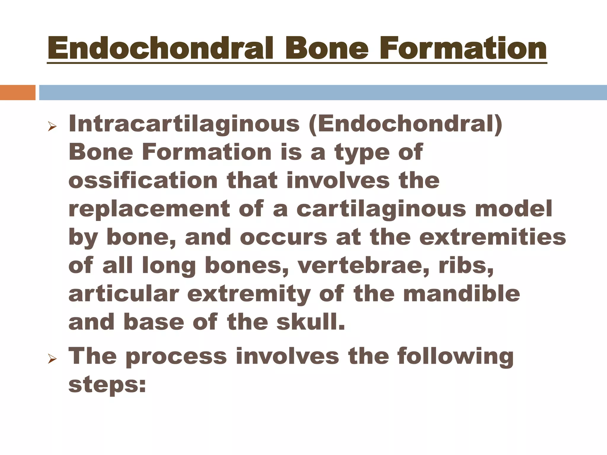 Endochondral bone formation