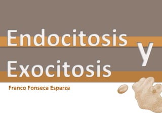 Endocitosis Exocitosis   Franco Fonseca Esparza y 