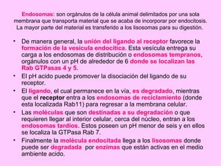 Endosomas: son orgánulos de la célula animal delimitados por una sola
membrana que transporta material que se acaba de incorporar por endocitosis.
 La mayor parte del material es transferido a los lisosomas para su digestión.

• De manera general, la unión del ligando al receptor favorece la
  formación de la vesícula endocítica. Esta vesícula entrega su
  carga a los endosomas de distribución o endosomas tempranos,
  orgánulos con un pH de alrededor de 6 donde se localizan las
  Rab GTPasas 4 y 5.
• El pH acido puede promover la disociación del ligando de su
  receptor.
• El ligando, el cual permanece en la vía, es degradado, mientras
  que el receptor entra a los endosomas de reciclamiento (donde
  esta localizada Rab11) para regresar a la membrana celular.
• Las moléculas que son destinadas a su degradación o que
  requieren llegar al interior celular, cerca del núcleo, entran a los
  endosomas tardíos. Estos poseen un pH menor de seis y en ellos
  se localiza la GTPasa Rab 7.
• Finalmente la molécula endocitada llega a los lisosomas donde
  puede ser degradada por enzimas que están activas en el medio
  ambiente acido.
 