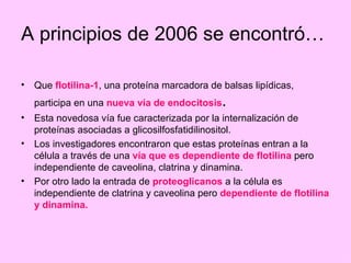 A principios de 2006 se encontró…

• Que flotilina-1, una proteína marcadora de balsas lipídicas,
  participa en una nueva vía de endocitosis   .
• Esta novedosa vía fue caracterizada por la internalización de
  proteínas asociadas a glicosilfosfatidilinositol.
• Los investigadores encontraron que estas proteínas entran a la
  célula a través de una vía que es dependiente de flotilina pero
  independiente de caveolina, clatrina y dinamina.
• Por otro lado la entrada de proteoglicanos a la célula es
  independiente de clatrina y caveolina pero dependiente de flotilina
  y dinamina.
 