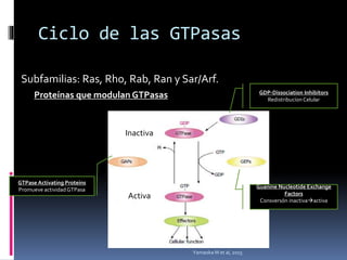 Mecanismos de la Membrana Celulas | PPTX