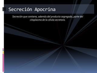 Secreción Apocrina
Secreción que contiene, además del producto segregado, parte del
citoplasma de la célula secretora.
 