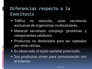 Diferencias respecto a la
Exocitosis
 Tráfico no vesicular, rutas secretoras
exclusivas de organismos multicelulares.
 Material secretado complejo (proteínas y
componentes celulares)
 Productos no destinados para ser captados
por otras células.
 Es observado el tejido epitelial polarizado.
 Sus productos sirven para comunicación con
el exterior.
Farkas, 2015
 