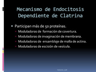 Mecanismo de Endocitosis
Dependiente de Clatrina
 Participan más de 50 proteínas.
 Moduladoras de formación de covertura.
 Moduladoras de invaginación de membrana.
 Moduladoras de ensamblaje de malla de actina.
 Moduladoras de escisión de vesícula.
Kaksonen, 2008
 
