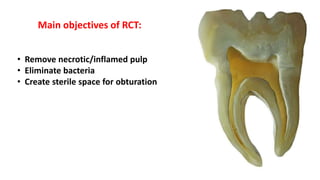 Endodontic course | PPTX