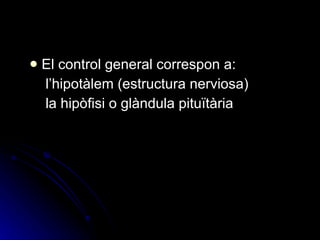 El control general correspon a:   l’hipotàlem (estructura nerviosa)   la hipòfisi o glàndula pituïtària 