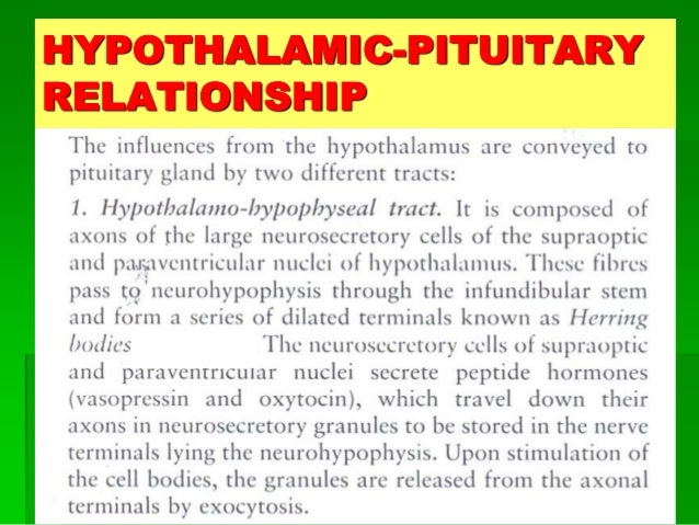Endocrinal functions of hypothalamus and pituitary gland diagram of adrenal glands 