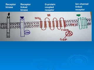 Receptor
kinase
Receptor
linked
kinase
G-protein
coupled
receptor
Ion channel
linked
receptor
 
