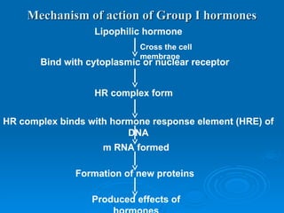 Mechanism of action of Group I hormones
Mechanism of action of Group I hormones
Lipophilic hormone
Bind with cytoplasmic or nuclear receptor
Cross the cell
membrane
HR complex form
HR complex binds with hormone response element (HRE) of
DNA
m RNA formed
Formation of new proteins
Produced effects of
 