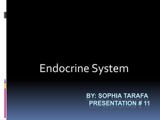 By: sophiatarafaPresentation # 11 Endocrine System 