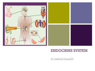 ENDOCRINE SYSTEM BY: CANDACE GOLLADAY 