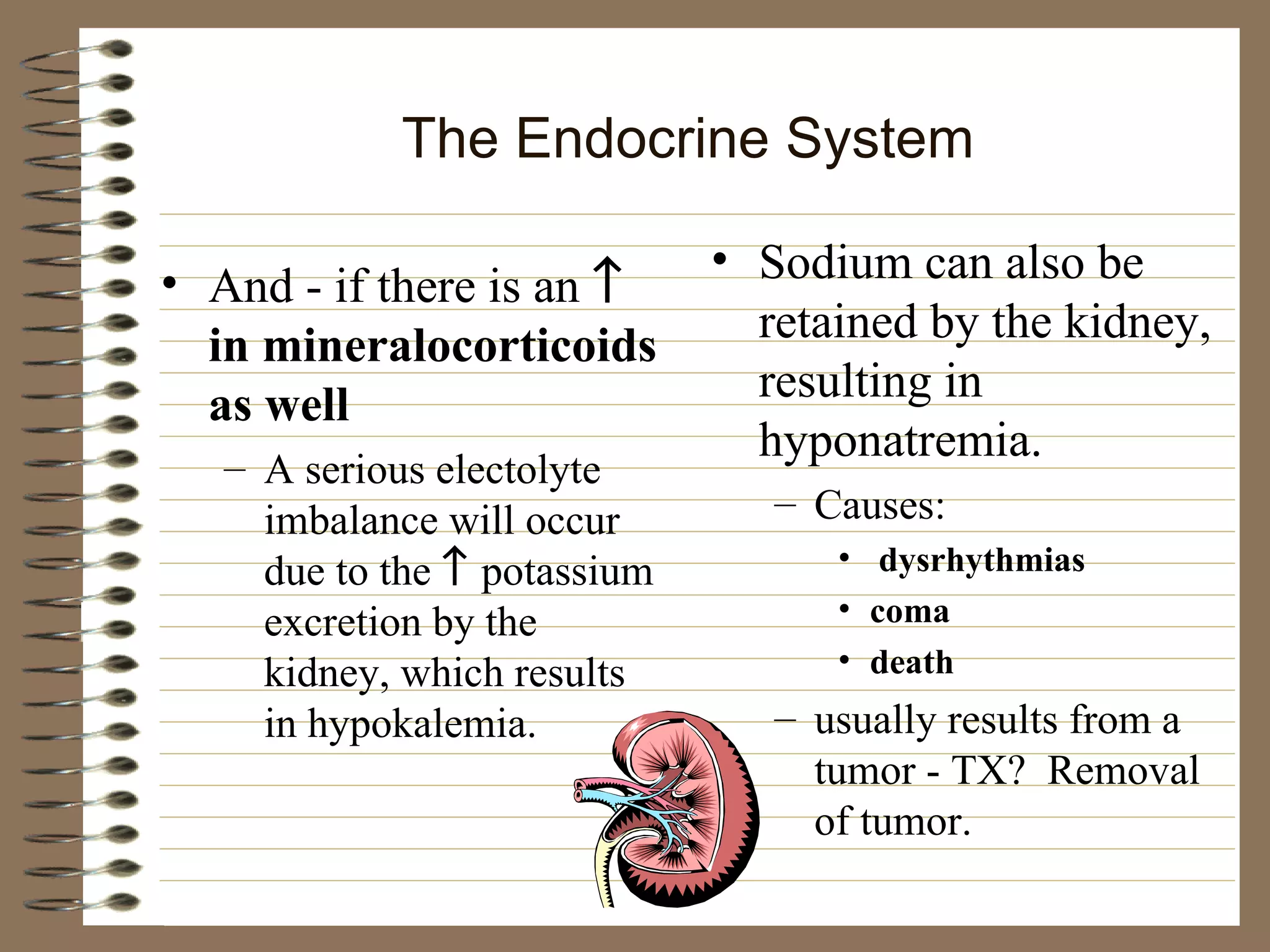 The Endocrine System And - if there is an    in mineralocorticoids as well A serious electolyte imbalance will occur due to the     potassium excretion by the kidney, which results in hypokalemia. Sodium can also be retained by the kidney, resulting in hyponatremia. Causes: dysrhythmias coma death usually results from a tumor - TX?  Removal of tumor.  