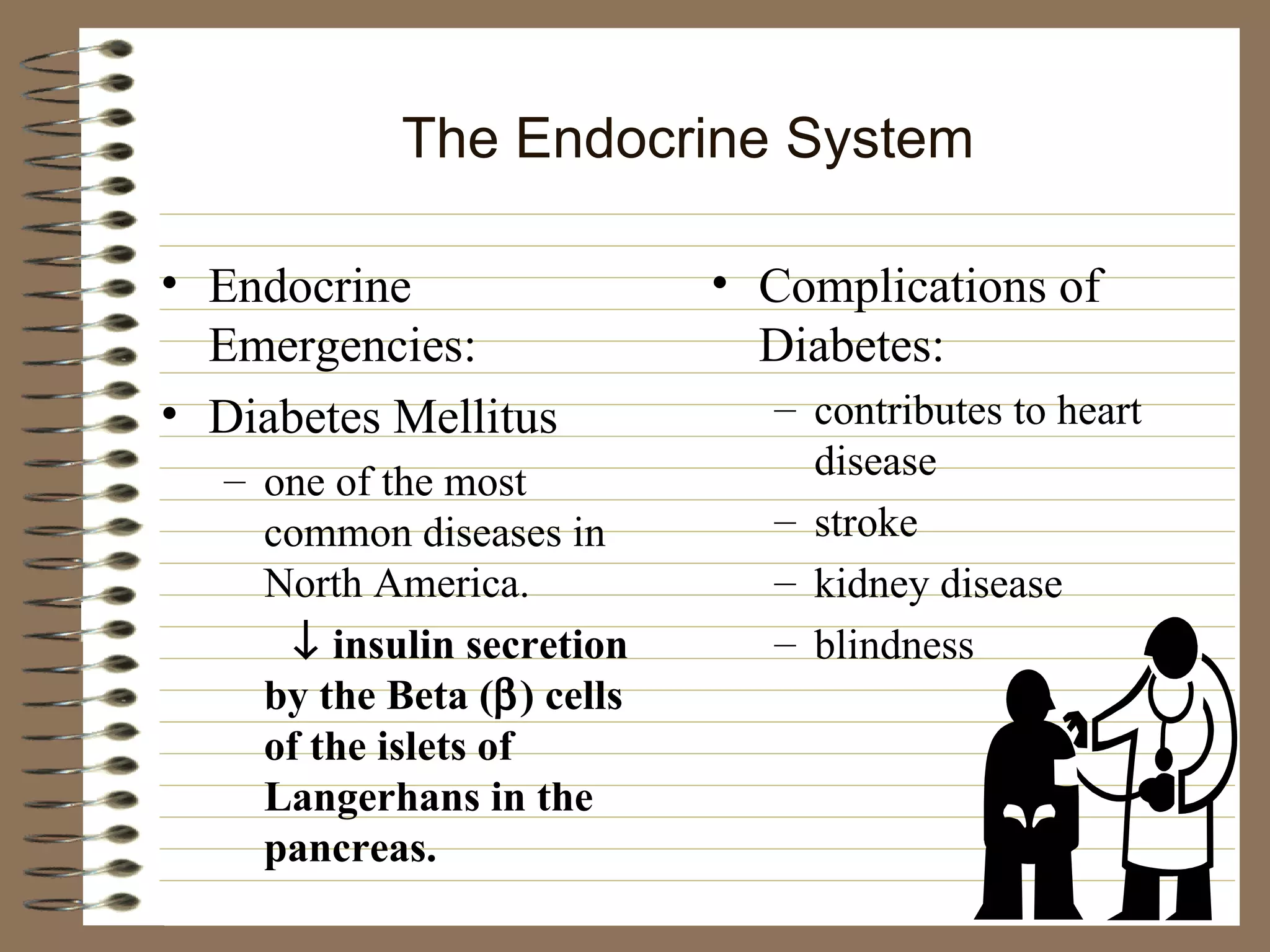 The Endocrine System Endocrine Emergencies: Diabetes Mellitus one of the most common diseases in North America.    insulin secretion by the Beta (  ) cells of the islets of Langerhans in the pancreas. Complications of Diabetes: contributes to heart disease stroke kidney disease blindness 