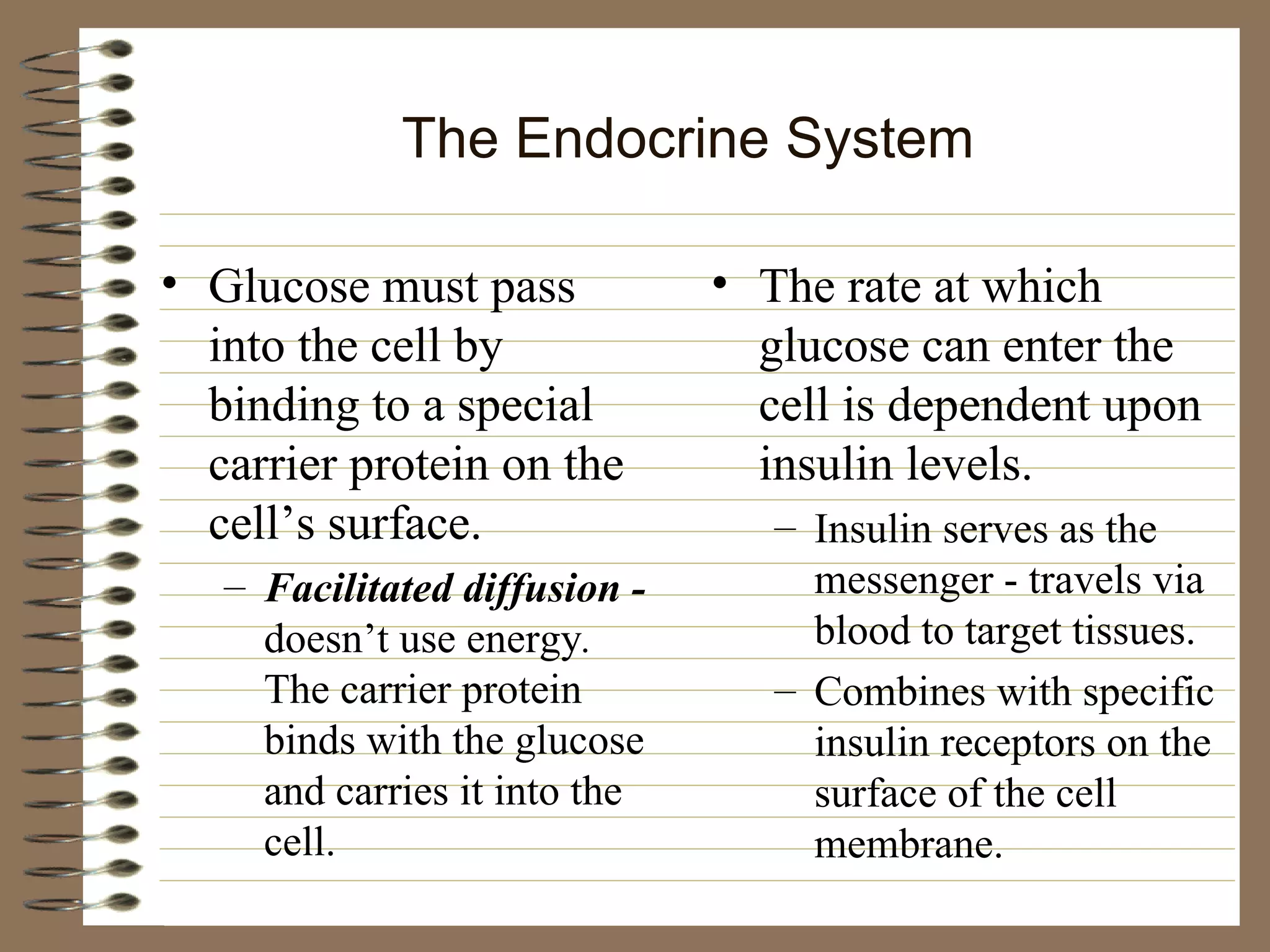 The Endocrine System Glucose must pass into the cell by binding to a special carrier protein on the cell’s surface.  Facilitated diffusion -  doesn’t use energy .  The carrier protein binds with the glucose and carries it into the cell. The rate at which glucose can enter the cell is dependent upon insulin levels. Insulin serves as the messenger - travels via blood to target tissues. Combines with specific insulin receptors on the surface of the cell membrane. 