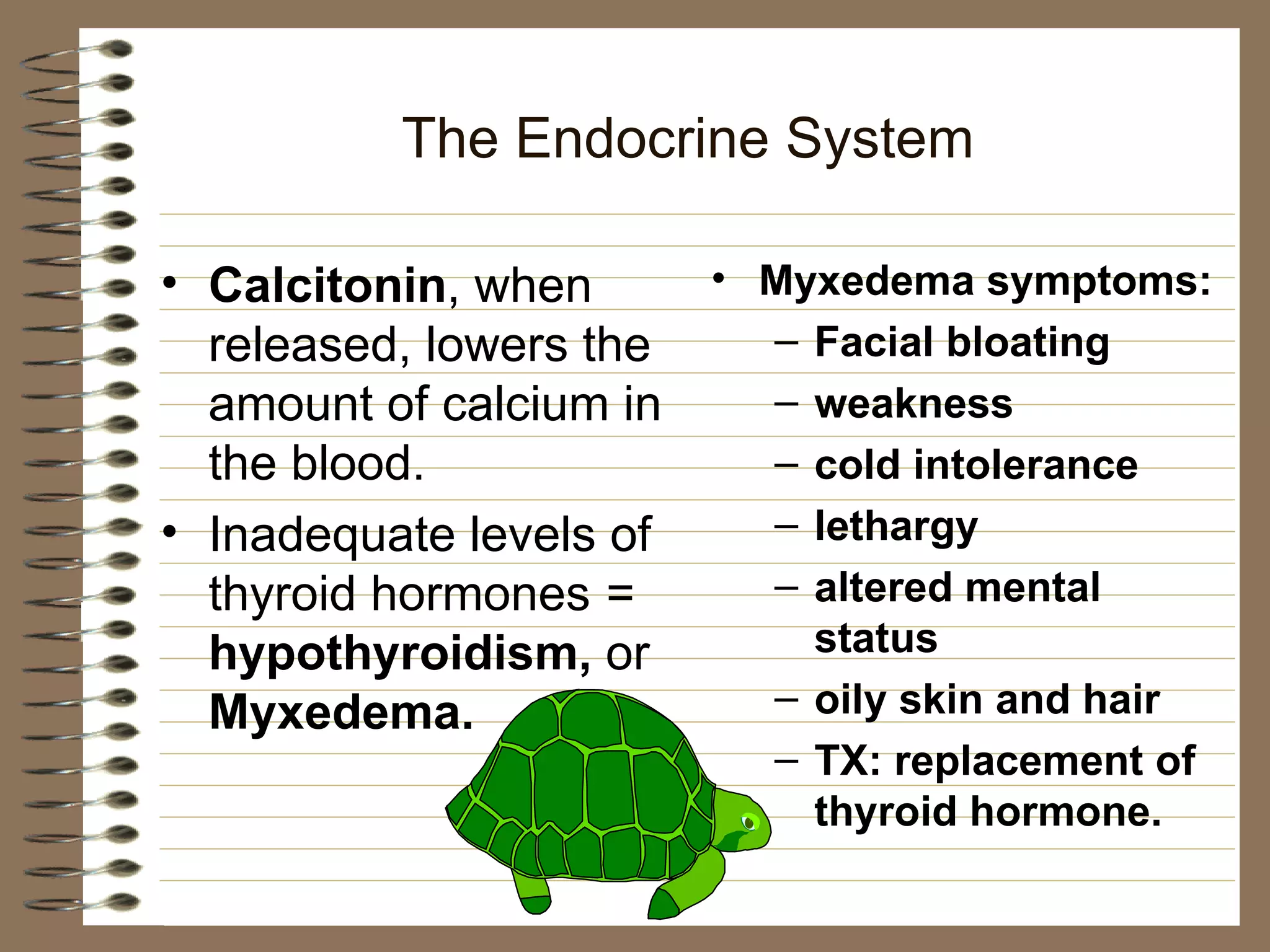 The Endocrine System Calcitonin , when released, lowers the amount of calcium in the blood. Inadequate levels of thyroid hormones  =  hypothyroidism,  or  Myxedema. Myxedema symptoms: Facial bloating weakness cold intolerance lethargy altered mental status oily skin and hair TX: replacement of thyroid hormone. 