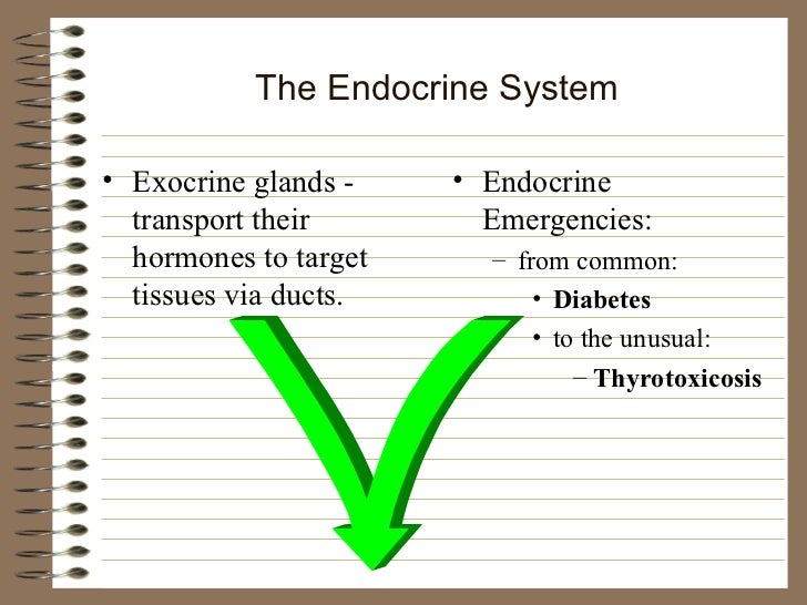 Endocrine