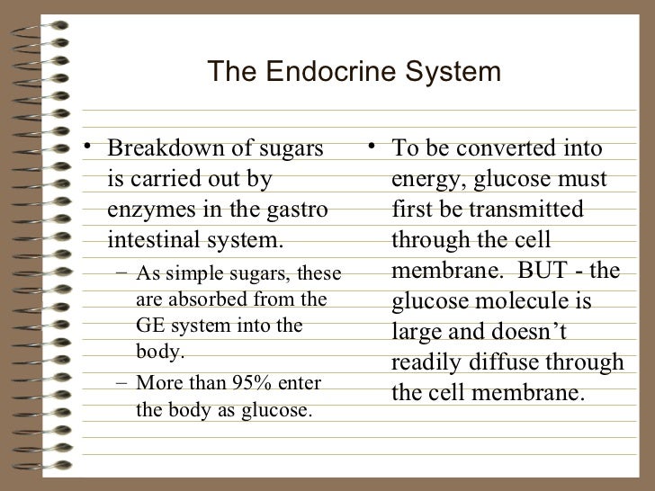Endocrine