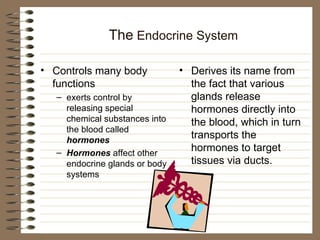 The  Endocrine System ,[object Object],[object Object],[object Object],[object Object]