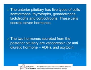 1 The anterior pituitary has five types of cells-
                                           cells-
 somtotrophs, thyrotrophs, gonadotrophs,
 lactotrophs and corticotrophs. These cells
 secrete seven hormones.



1 The two hormones secreted from the
 posterior pituitary are vasopressin (or anti
 diuretic hormone – ADH), and oxytocin.




                   T iP F liCetd yr les n f D -lP F rao.
                   h D - es rae b tavro o P F i D Cetr
                     s              i    i     Fe
                   P ae s p r ae vro t rmoe h mesg .
                    l s ue uc sd es n o e v ti s e
                    e        h     i         s   a
 
