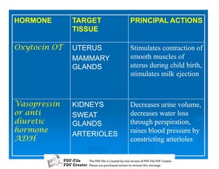 HORMONE        TARGET              PRINCIPAL ACTIONS
               TISSUE

4.84B8   UTERUS              Stimulates contraction of
               MAMMARY             smooth muscles of
               GLANDS              uterus during child birth,
                                   stimulates milk ejection



D)))8   KIDNEYS             Decreases urine volume,
88       SWEAT               decreases water loss
E8      GLANDS              through perspiration,
$8                           raises blood pressure by
               ARTERIOLES
3                                constricting arterioles

                  T iP F liCetd yr les n f D -lP F rao.
                  h D - es rae b tavro o P F i D Cetr
                    s              i    i     Fe
                  P ae s p r ae vro t rmoe h mesg .
                   l s ue uc sd es n o e v ti s e
                   e        h     i         s   a
 