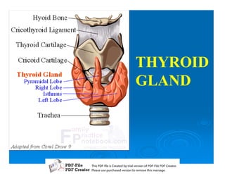THYROID
                  GLAND




T iP F liCetd yr les n f D -lP F rao.
h D - es rae b tavro o P F i D Cetr
  s              i    i     Fe
P ae s p r ae vro t rmoe h mesg .
 l s ue uc sd es n o e v ti s e
 e        h     i         s   a
 