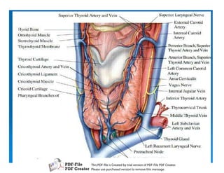 T iP F liCetd yr les n f D -lP F rao.
h D - es rae b tavro o P F i D Cetr
  s              i    i     Fe
P ae s p r ae vro t rmoe h mesg .
 l s ue uc sd es n o e v ti s e
 e        h     i         s   a
 
