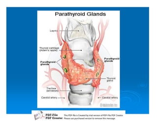 T iP F liCetd yr les n f D -lP F rao.
h D - es rae b tavro o P F i D Cetr
  s              i    i     Fe
P ae s p r ae vro t rmoe h mesg .
 l s ue uc sd es n o e v ti s e
 e        h     i         s   a
 