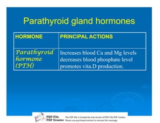 Parathyroid gland hormones
HORMONE         PRINCIPAL ACTIONS


-E8 Increases blood Ca and Mg levels
$8     decreases blood phosphate level
0-B18       promotes vita.D production.




                  T iP F liCetd yr les n f D -lP F rao.
                  h D - es rae b tavro o P F i D Cetr
                    s              i    i     Fe
                  P ae s p r ae vro t rmoe h mesg .
                   l s ue uc sd es n o e v ti s e
                   e        h     i         s   a
 