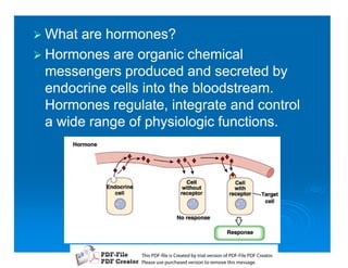 1 What are hormones?
1 Hormones are organic chemical
  messengers produced and secreted by
  endocrine cells into the bloodstream.
  Hormones regulate, integrate and control
  a wide range of physiologic functions.




                 T iP F liCetd yr les n f D -lP F rao.
                 h D - es rae b tavro o P F i D Cetr
                   s              i    i     Fe
                 P ae s p r ae vro t rmoe h mesg .
                  l s ue uc sd es n o e v ti s e
                  e        h     i         s   a
 