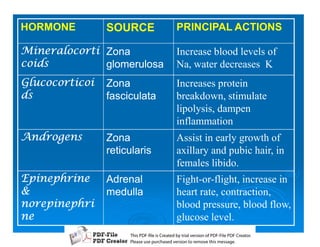 HORMONE         SOURCE            PRINCIPAL ACTIONS

C  Zona                Increase blood levels of
E)8        glomerulosa         Na, water decreases K
(    Zona              Increases protein
E)              fasciculata       breakdown, stimulate
                                  lipolysis, dampen
                                  inflammation
E)8      Zona              Assist in early growth of
                reticularis       axillary and pubic hair, in
                                  females libido.
18    Adrenal           Fight-or-flight, increase in
38              medulla           heart rate, contraction,
                      blood pressure, blood flow,
                                glucose level.
                     T iP F liCetd yr les n f D -lP F rao.
                     h D - es rae b tavro o P F i D Cetr
                       s              i    i     Fe
                     P ae s p r ae vro t rmoe h mesg .
                      l s ue uc sd es n o e v ti s e
                      e        h     i         s   a
 