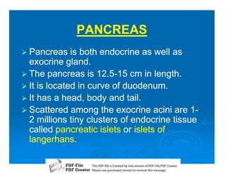 PANCREAS
1 Pancreas    is both endocrine as well as
  exocrine gland.
1 The pancreas is 12.5-15 cm in length.
                     12.5-
1 It is located in curve of duodenum.
1 It has a head, body and tail.
1 Scattered among the exocrine acini are 1-  1-
  2 millions tiny clusters of endocrine tissue
  called pancreatic islets or islets of
  langerhans.

                  T iP F liCetd yr les n f D -lP F rao.
                  h D - es rae b tavro o P F i D Cetr
                    s              i    i     Fe
                  P ae s p r ae vro t rmoe h mesg .
                   l s ue uc sd es n o e v ti s e
                   e        h     i         s   a
 