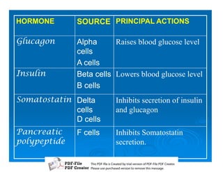 HORMONE       SOURCE PRINCIPAL ACTIONS

( 8     Alpha      Raises blood glucose level
              cells
              A cells
7) 8      Beta cells Lowers blood glucose level
              B cells
9$) Delta          Inhibits secretion of insulin
             cells          and glucagon
             D cells
-8   F cells       Inhibits Somatostatin
 E                 secretion.

                  T iP F liCetd yr les n f D -lP F rao.
                  h D - es rae b tavro o P F i D Cetr
                    s              i    i     Fe
                  P ae s p r ae vro t rmoe h mesg .
                   l s ue uc sd es n o e v ti s e
                   e        h     i         s   a
 