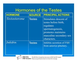 Hormones of the Testes
HORMONE         SOURCE         PRINCIPAL ACTIONS
B))8   Testes         Stimulates descent of
                               testes before birth,
                               regulates
                               spermatogenesis,
                               promotes maintains
                               masculine secondary sex
                               characters.
7%8        Testes         Inhibits secretion of FSH
                               from anterior pituitary.



                 T iP F liCetd yr les n f D -lP F rao.
                 h D - es rae b tavro o P F i D Cetr
                   s              i    i     Fe
                 P ae s p r ae vro t rmoe h mesg .
                  l s ue uc sd es n o e v ti s e
                  e        h     i         s   a
 